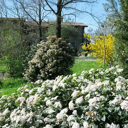 Le Casacce